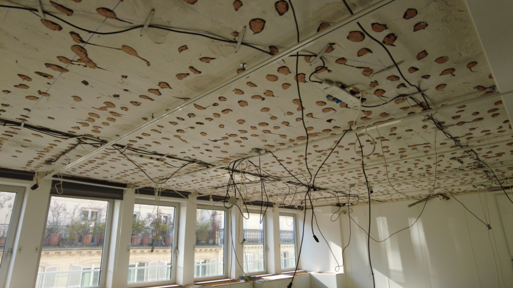 Dépose des faux plafonds et réseaux apparents dans un chantier de curage