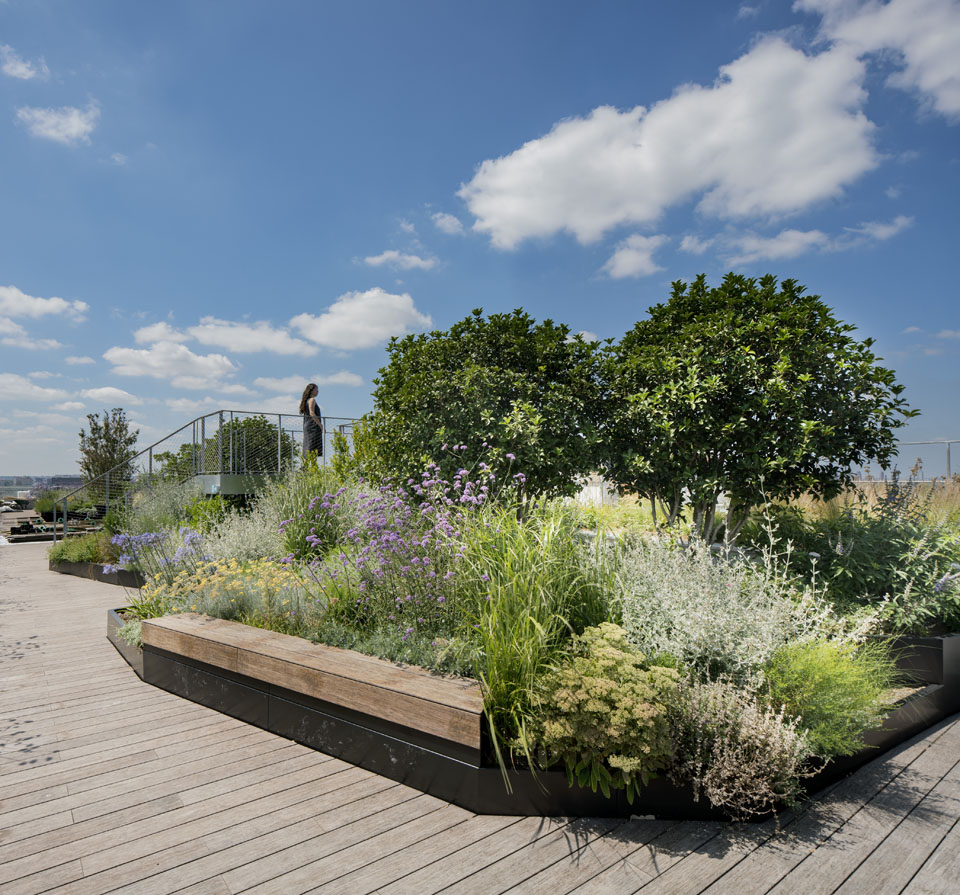 Aménagement d'un toît terrasse Paris